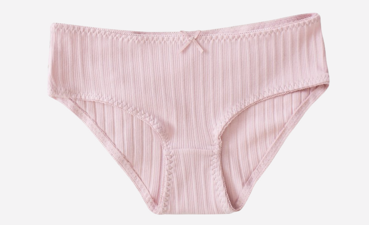 CharmLeaks Womens Underwear Cotton Hipster Panties