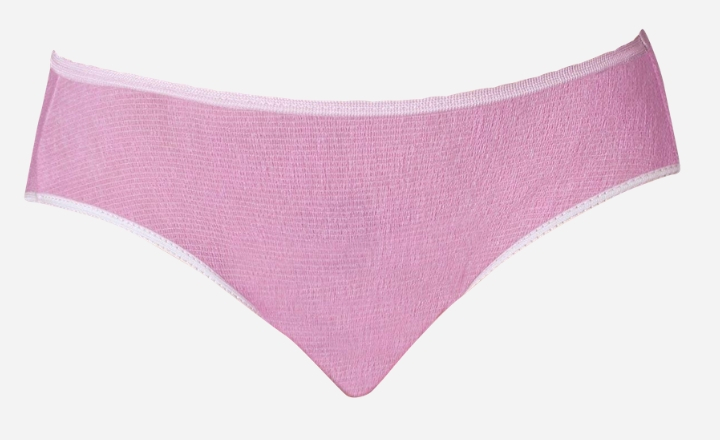 10 Best Period Panties for 2020 (Underwear for Periods)