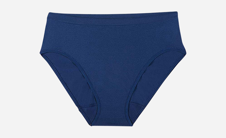 Fruit of The Loom Women's Seamless Underwear
