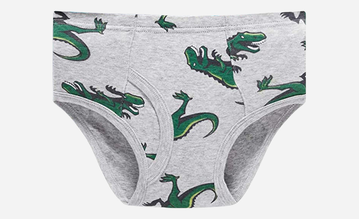 Boboking Boys’ Toddler Dinosaur Truck Briefs