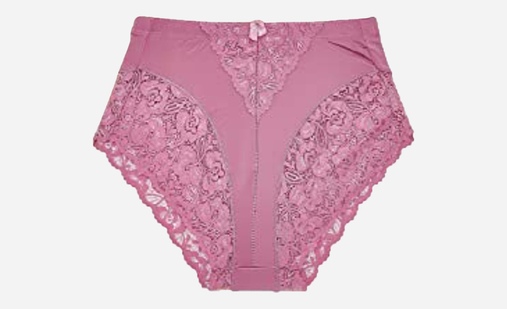 Barbra Control Coverage Briefs - best plus size underwear for women