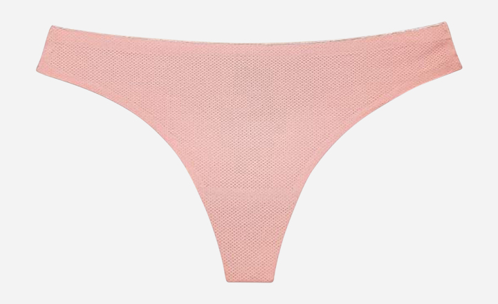 Barbra Seamless Thongs - best plus size underwear for women