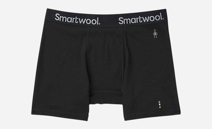 Smartwool Men's Merino Sport 150 Boxer Brief - best wool underwear