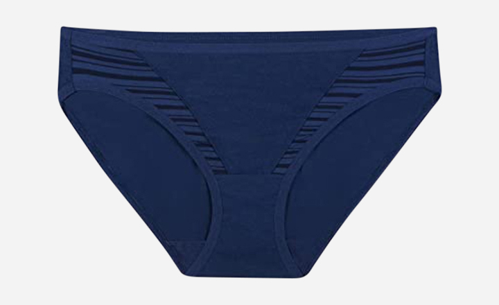Fruit of The Loom Women's Underwear Moisture Wicking Coolblend Panty - moisture wicking underwear for women